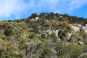 Fototapeta na wymiar bush landscape with rocky outcrop of you yangs granite formations