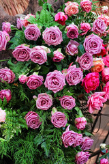 Close up purple pink roses and green fern decorative on tree background