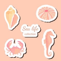 Seashells vector set. Collection of flat, cartoon sketches of molluscs sea shells, starfish, sea urchin, seahorse, hippocampus, crab, coral. Trendy coral reef under water collection isolated on white