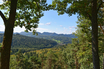 Pfälzer Wald