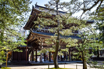 天橋立、知恩寺周辺の情景