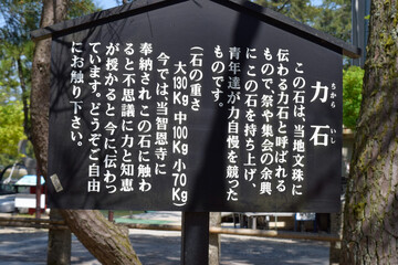 天橋立、知恩寺周辺の情景