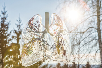 an anatomical model of the lung outside to symbolize breathing in front of trees and backlight at a...