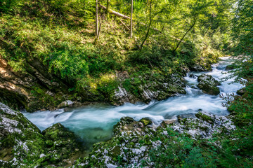 The famous Vintgar gorge Canyon with wooden pats,Bled,Triglav,Slovenia,Europe