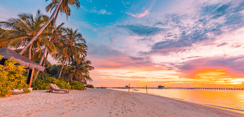 Island palm tree sea sand beach. Panoramic beach landscape. Inspire tropical beach seascape...
