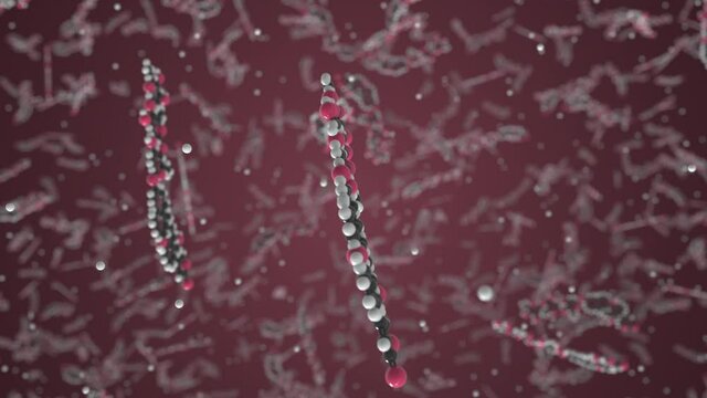 Digoxin molecule. Molecular model. Looping seamless 3d animation