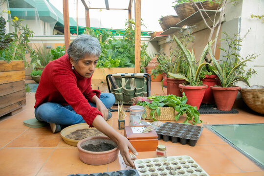 Two friends planting seeds in their common kitchen garden	