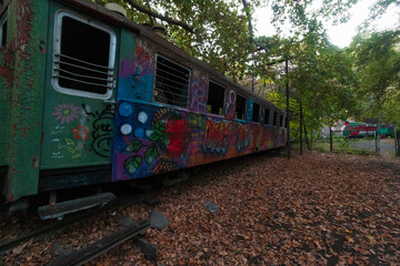 abandoned trains of the children's railway