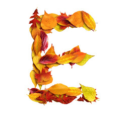 autumn leaves background, letter E