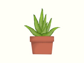 Aloe vera in a brown pot on a white background.  Illustrations used for graphic design work.