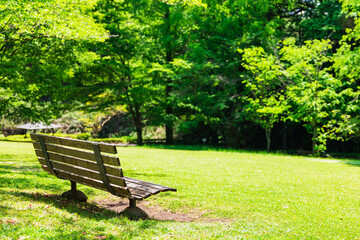 Fototapeta premium 公園のベンチ