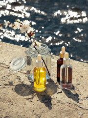 Bottles with cosmetic serum, a container with infusion and a sprig of blossoming apricot on a natural background. Sunlight, selective focus, natural cosmetics. Body and face care. 