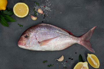 Fresh raw sea Dorada decorated with lemon slices, herbs and garlic on grey concrete table.