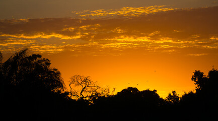 Sunset in pantanal