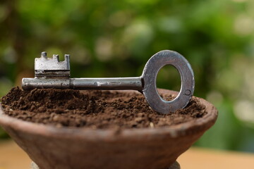 KEY IN FLOWER POT WITH MUD 