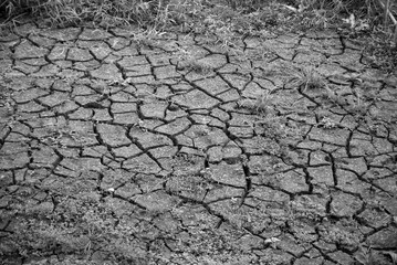 Dry soil and moss in the canal. Every winter season no water in the canal The soil has dried up - Black and white