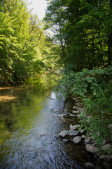 Fototapeta na wymiar Shady Thuringian Forest With Schwarza River