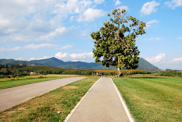 Landscape Nature scene of Road for sport activity ride bicycle on bicycle lane in the parks with Cloud blue sky at singha park ,  chiang rai , thailand