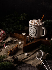 cocoa mug decorated with marshmallow