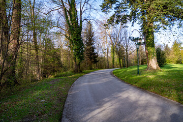 Fototapeta na wymiar A tranquil scene with an empty road in a spring forest during a sunny morning. Natural Parkland with no people.