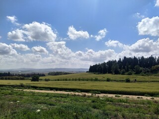 Naklejka premium landscape with clouds