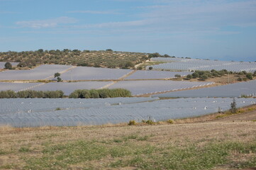 marzamemi pachino sicilia