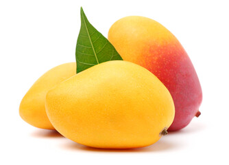 mangos on a white background 