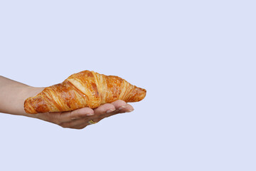 Croissant On Woman Hands Background Isolated