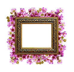 Pink chamelaucium flowers ana square bronze frame isolated on white