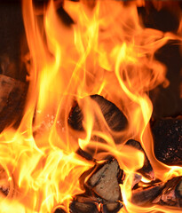 fire of the flame