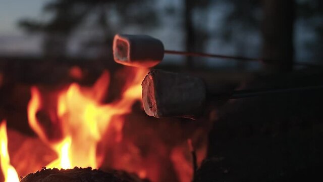 Close up. Roasting marshmallows over camp bonfire on the beach at sunset. Heating, roast or toast marshmallow on stick. Romantic evening leisure