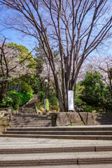 西郷従道邸跡付近に造られた西郷山公園(目黒区青葉台、菅刈公園と隣接）