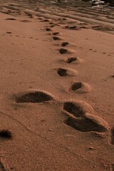 footsteps on the beach
