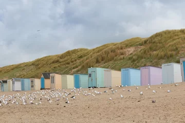Tafelkleed Beach huts in Texel, The Netherlands © Lennjo