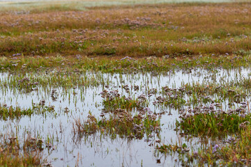 Landscape of the slufter at Texel