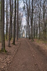 König Albert Denkmal