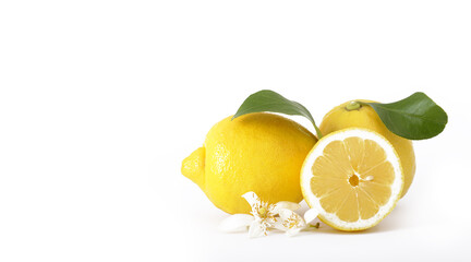 Limoni freschi su un fondo bianco 
