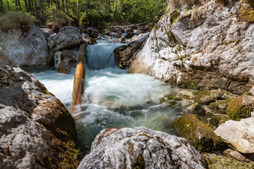 Hintersee Zauberwald
