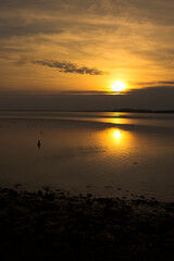 Irish sea, at Caernarfon Wales, at sunset.  Variety of birds feeding on the mud flats at low tide