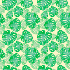 Fototapeta na wymiar Tropical leaves, jungle monstera leaf seamless floral green pattern background