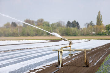 irrigation system on a field