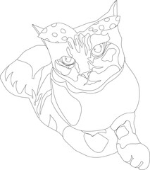 sketch of cat