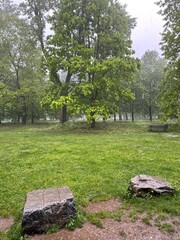 Park with thunderstorm in spring. 