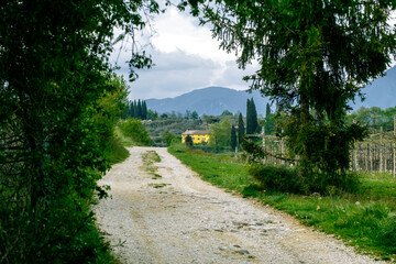 A country road