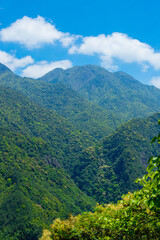 The green trees in the mountains under the sun.