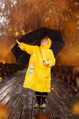 A cute little boy in a yellow raincoat with a black umbrella walks in the park.
