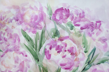 Blooming pink peonies background. Smooth wet paint drips. Summer nature watercolor painting wallpaper. Lightweight and softness concept.