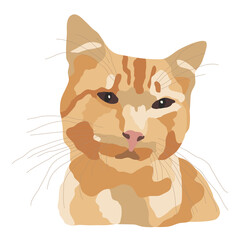 Cute ginger cat, portrait of a beautiful pet. Mammal with a spotted color, large mustache, dark brown eyes. Veterinary. Vector red kitten, abstraction, flat style. For printing on a shirt, internet.
