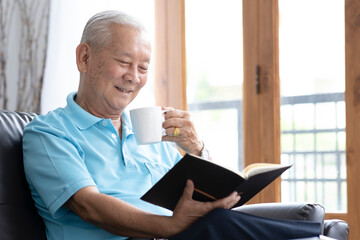 Relax elderly man sitting on sofa and reading interesting book in living room.
