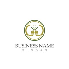 olive icon vector illustration
